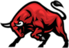 ReadBull.net